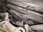 Engine with Radiator