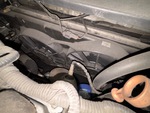 Engine with Radiator