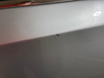 General Appearance with Paint