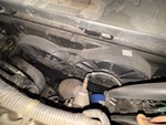 Engine with Radiator