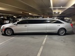 General Appearance with Paint