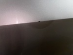 General Appearance with Paint