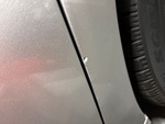 General Appearance with Paint