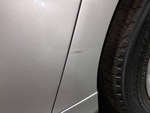 General Appearance with Paint