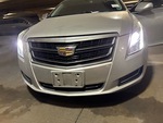General Appearance with Exterior Lights