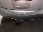 General Appearance with Paint