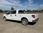 Picture, Left Rear Corner
