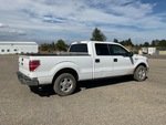 Picture, Right Rear Corner