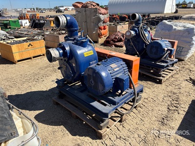 Gorman-Rupp Skid Mounted Pump Divers