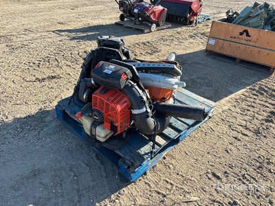Quantity of (3) Backpack Blowers Attrezzatura varia per cura del verde