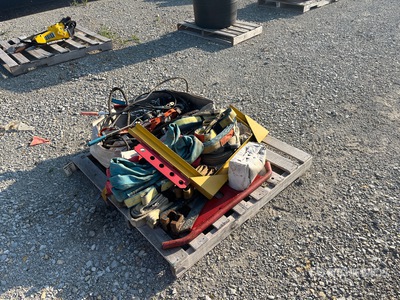 Quantity of Straps