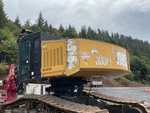 General Appearance with Paint