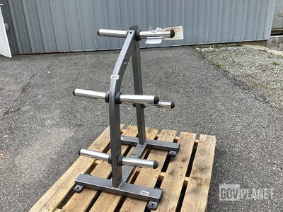 Hammer Strength FW-DWT Weights Storage Rack