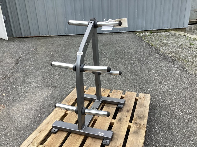 Hammer Strength FW-DWT Weights Storage Rack
