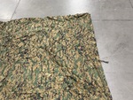 General Appearance #2