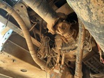 Underbody with Transmission