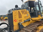 General Appearance with Paint