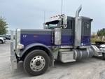 General Appearance with Paint