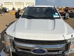 General Appearance with Paint