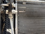 Engine with Radiator
