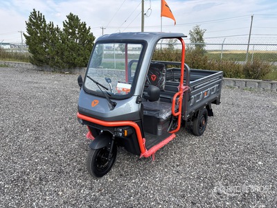 2026 Yadea L138ST32P E- Trike