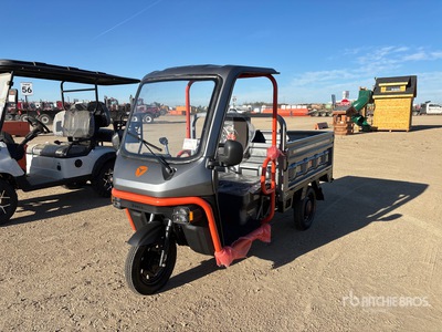 2026 Yadea L138ST32P E- Trike