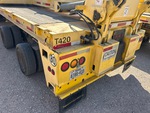 General Appearance with Paint