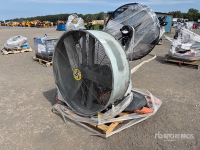 Quantity of Shop Fans