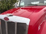 General Appearance with Paint
