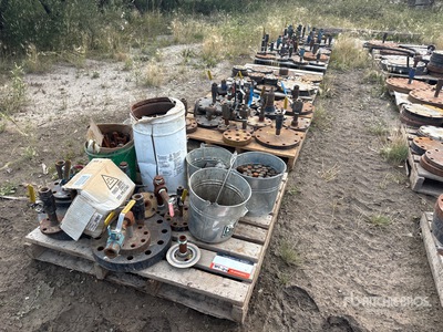 Quantity of (5) Pallets of Fittings and Flanges