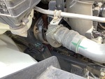Engine with Exhaust System