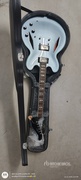 Epiphone DG-335