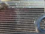 Engine with Radiator