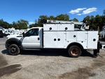 General Appearance with Paint