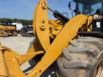 General Appearance with Paint