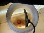 Motor with