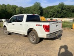 Picture, Left Rear Corner