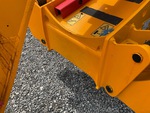 General Appearance with Paint