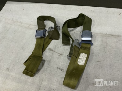 (29) Aeria AMTC9002-2 Restraint Lap Belts