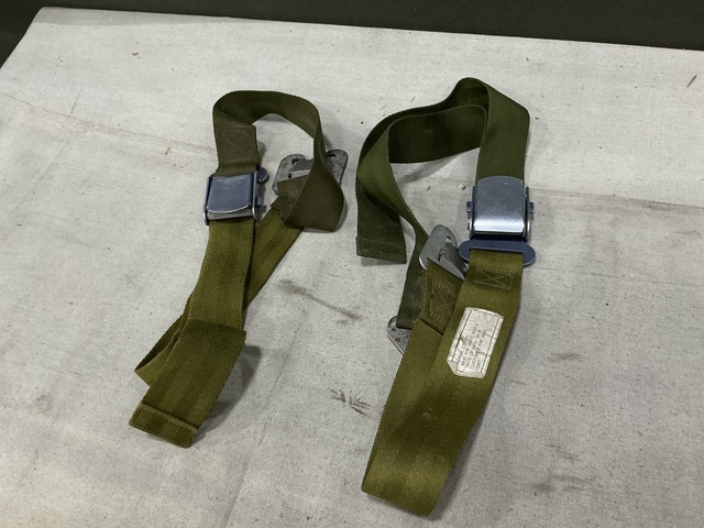 (29) Aeria AMTC9002-2 Restraint Lap Belts