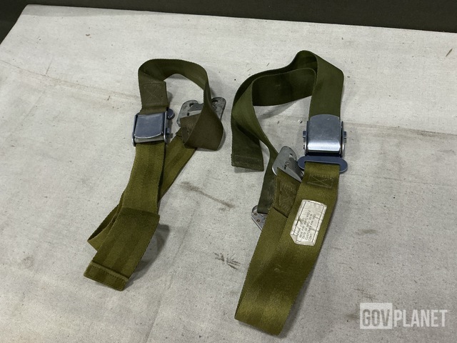 (29) Aeria AMTC9002-2 Restraint Lap Belts