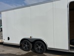 General Appearance with Peinture