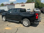 Picture, Left Rear Corner