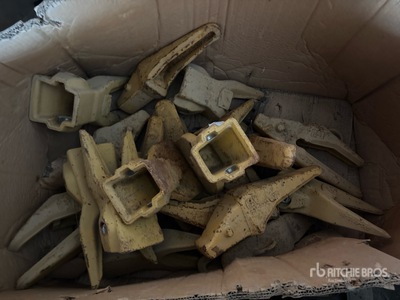 Quantity of Bucket Teeth