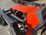 General Appearance with Paint