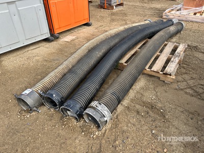 6 in Hose