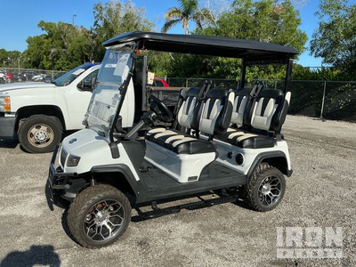 2003 (unverified) Evolution D5 Golf Cart