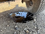 Engine with Oil Leaks
