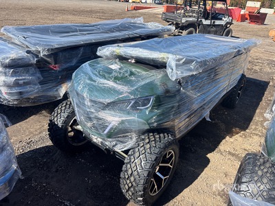 2026 SDLOOL SL-GC42L Electric Off-Road Golf Cart (Unused)
