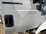 General Appearance with Paint